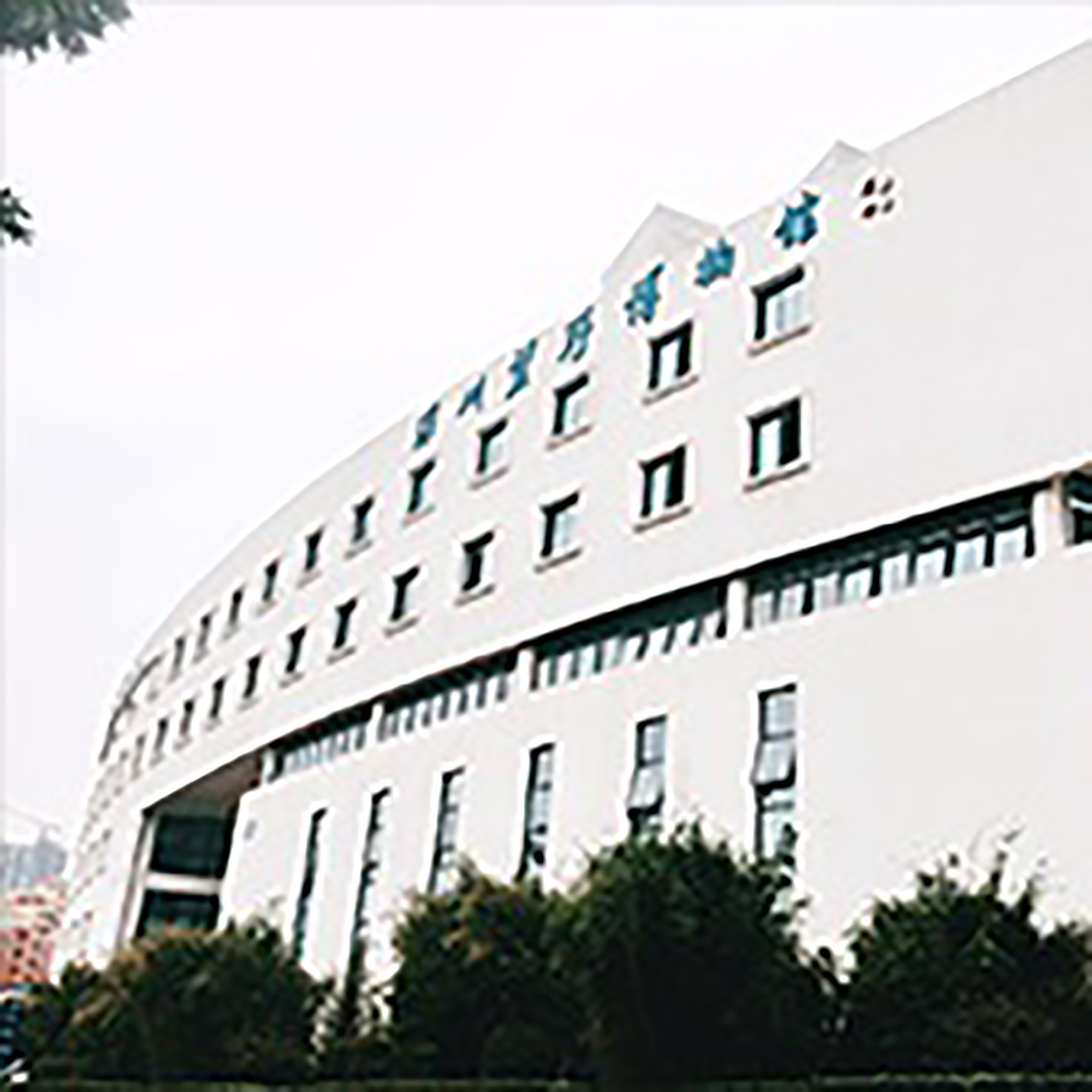 The Palace Museum