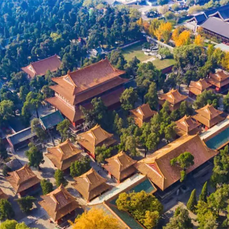 The Palace Museum