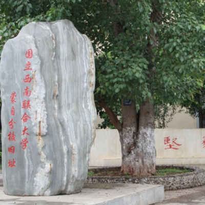The Palace Museum