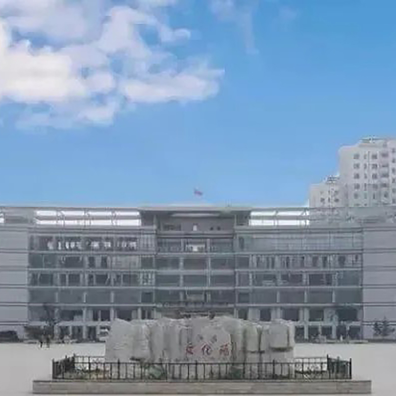 The Palace Museum