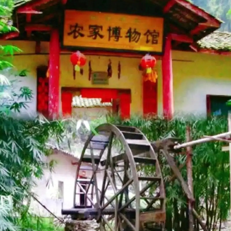 The Palace Museum