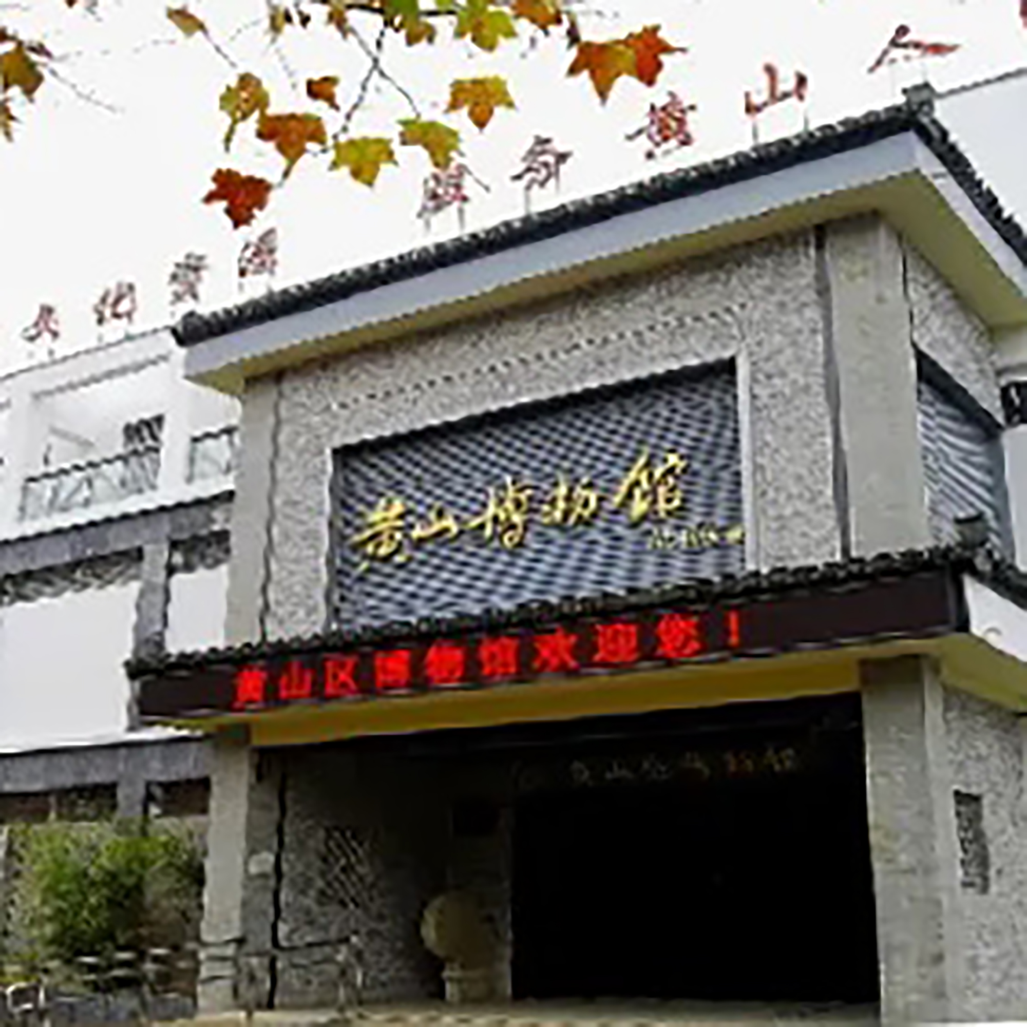 The Palace Museum