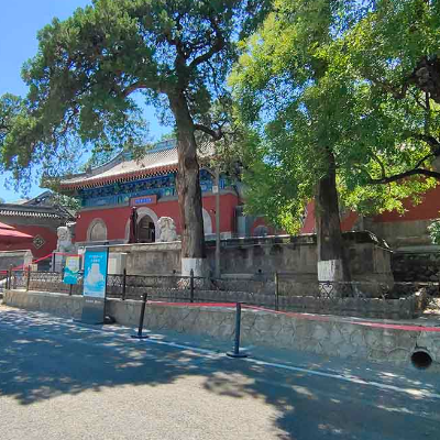 The Palace Museum