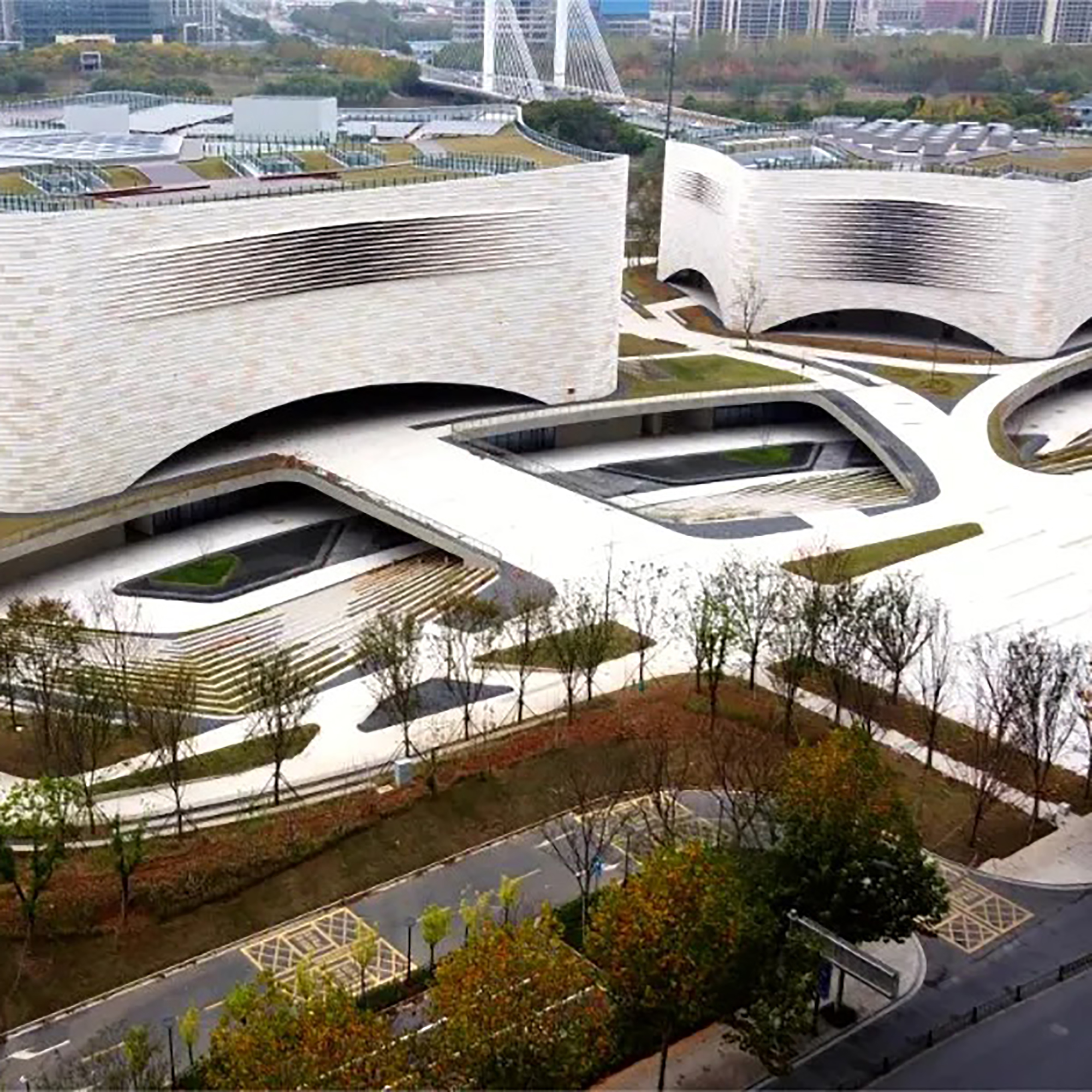 The Palace Museum