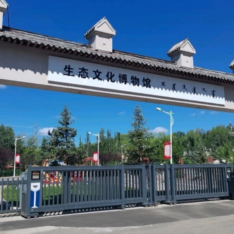The Palace Museum
