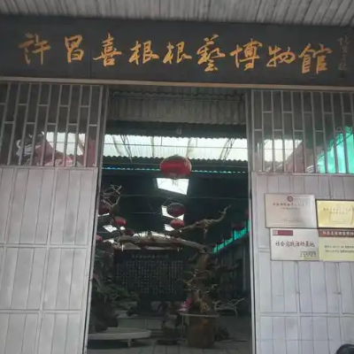 The Palace Museum