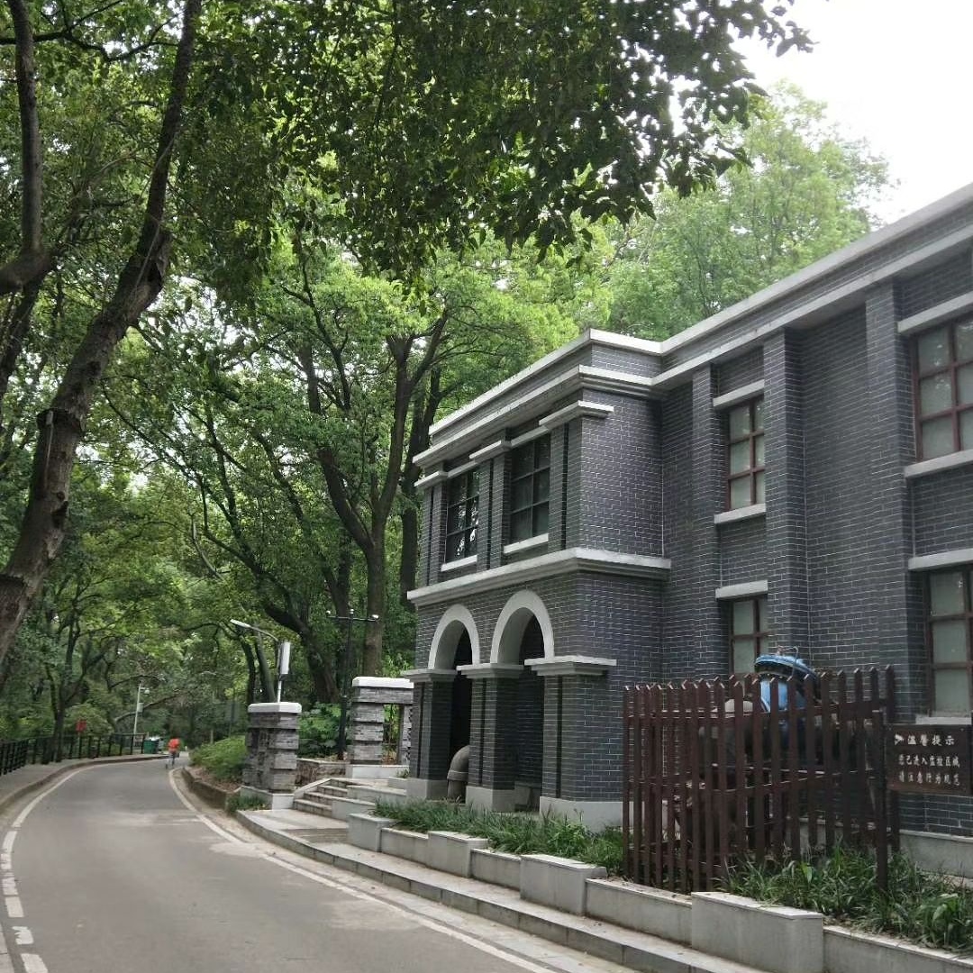 The Palace Museum