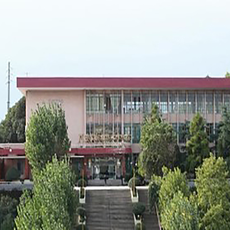 The Palace Museum