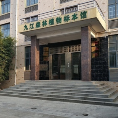 The Palace Museum