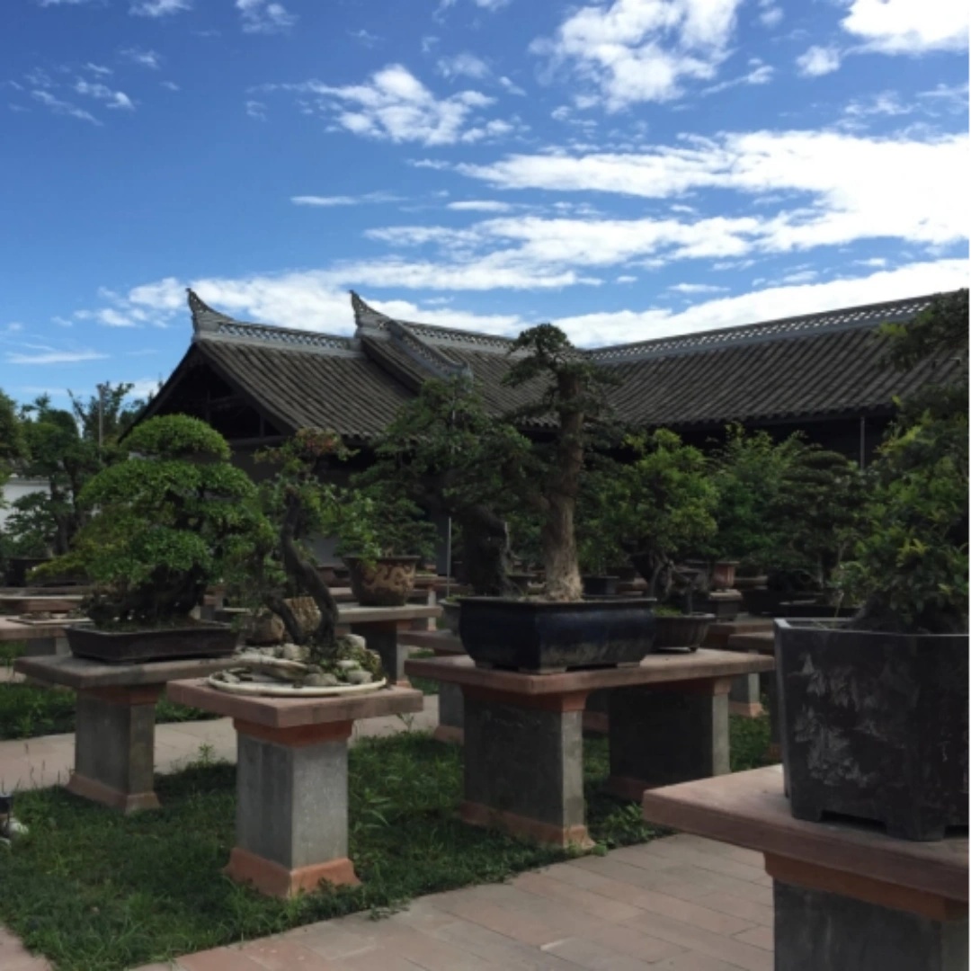 The Palace Museum