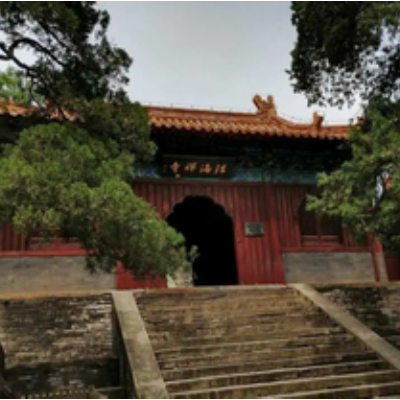 The Palace Museum