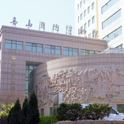 The Palace Museum