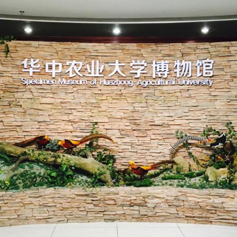 The Palace Museum