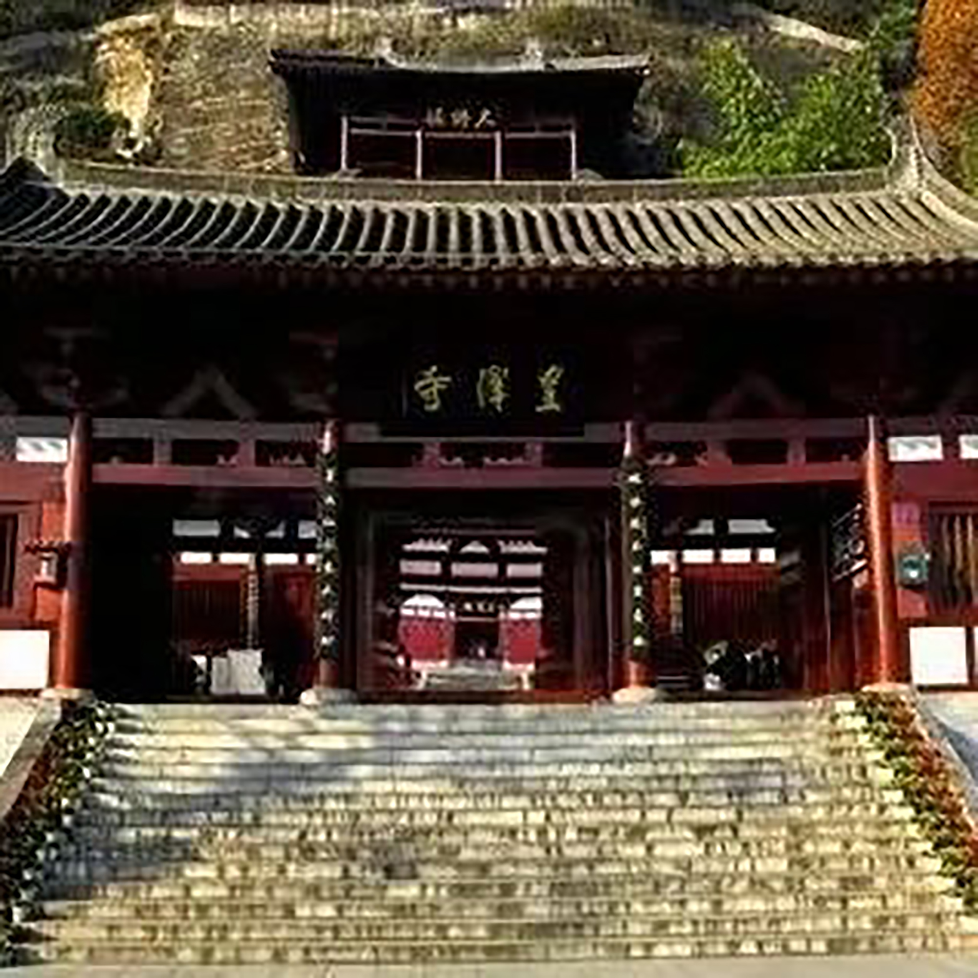 The Palace Museum