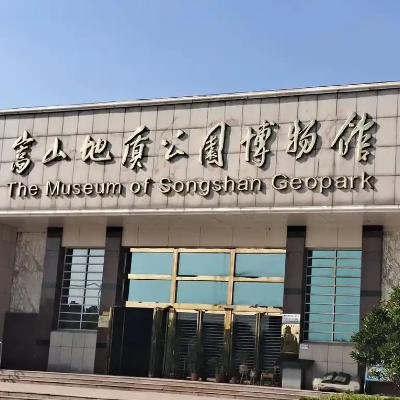 The Palace Museum