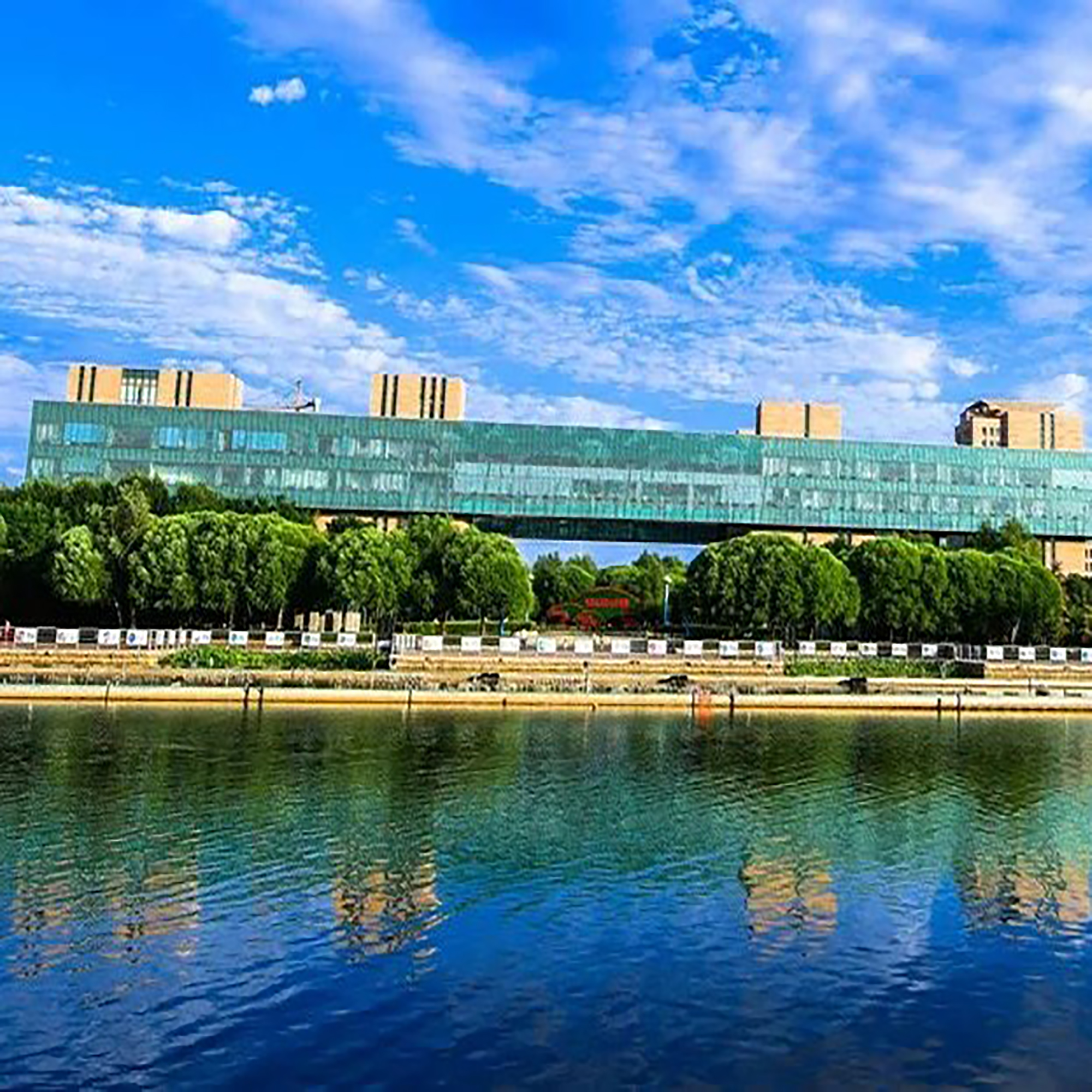 The Palace Museum