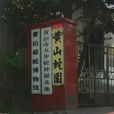 The Palace Museum