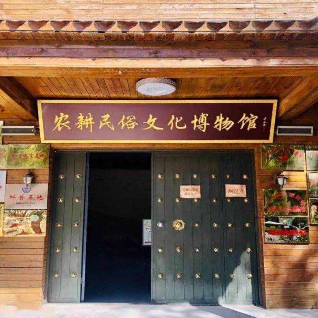 The Palace Museum