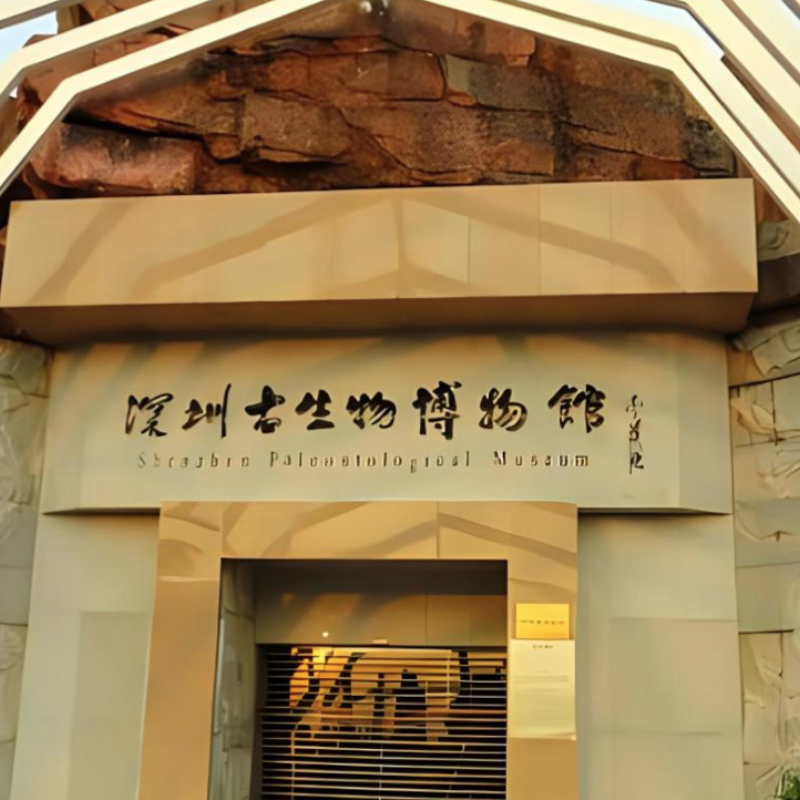 The Palace Museum