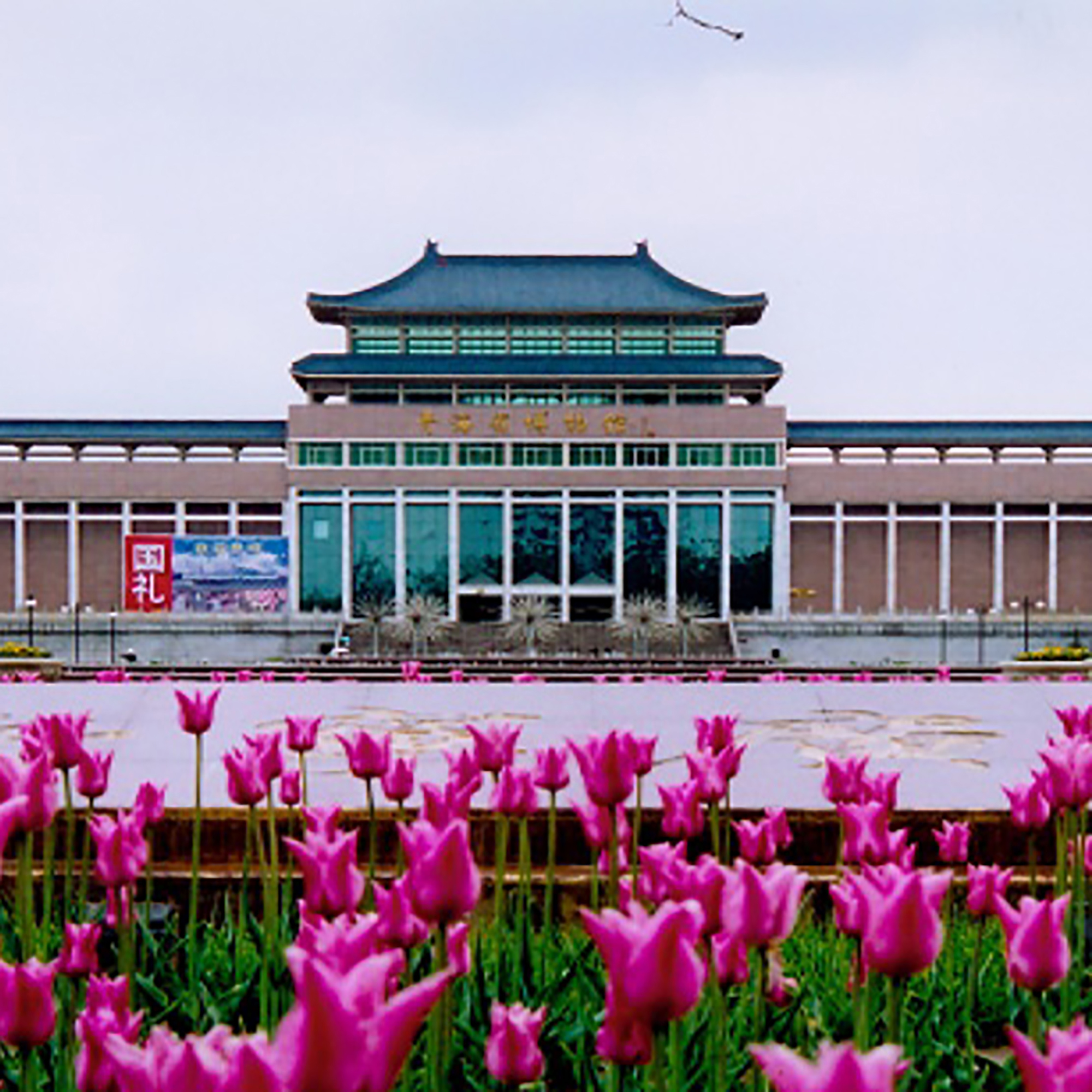 Exhibition Image