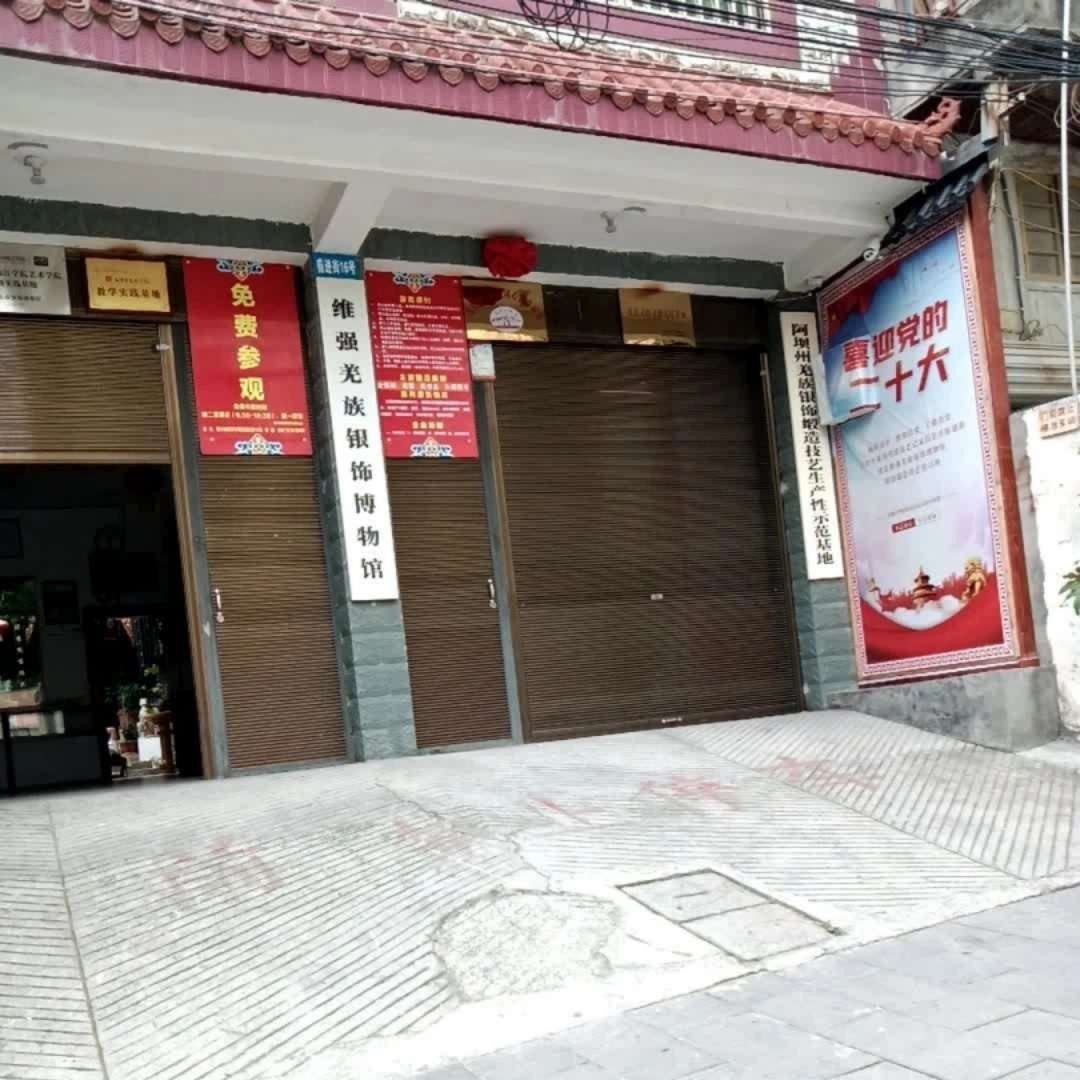 The Palace Museum