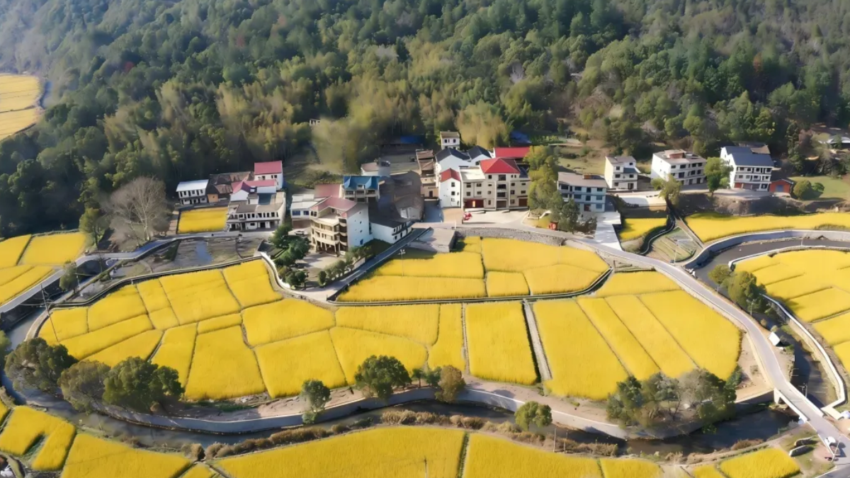 中国再添4处世界灌溉工程遗产