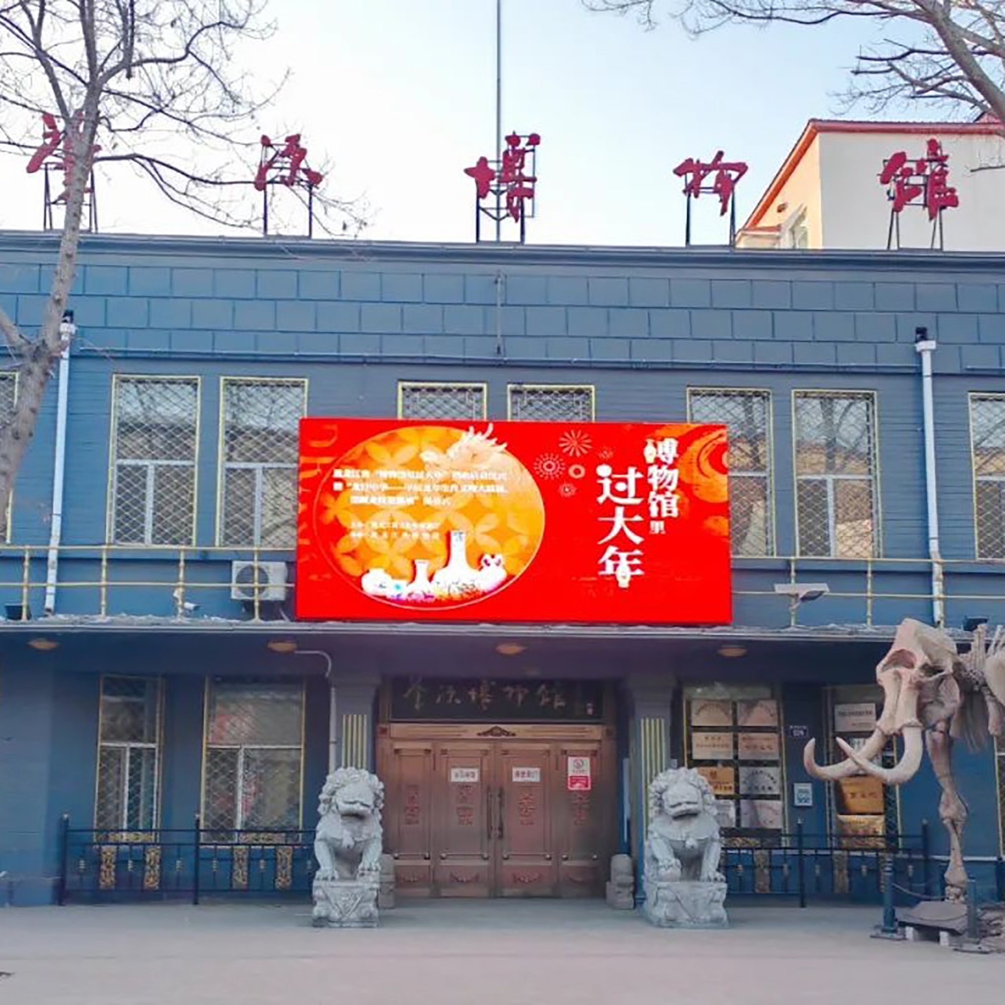 The Palace Museum