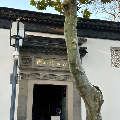 The Palace Museum