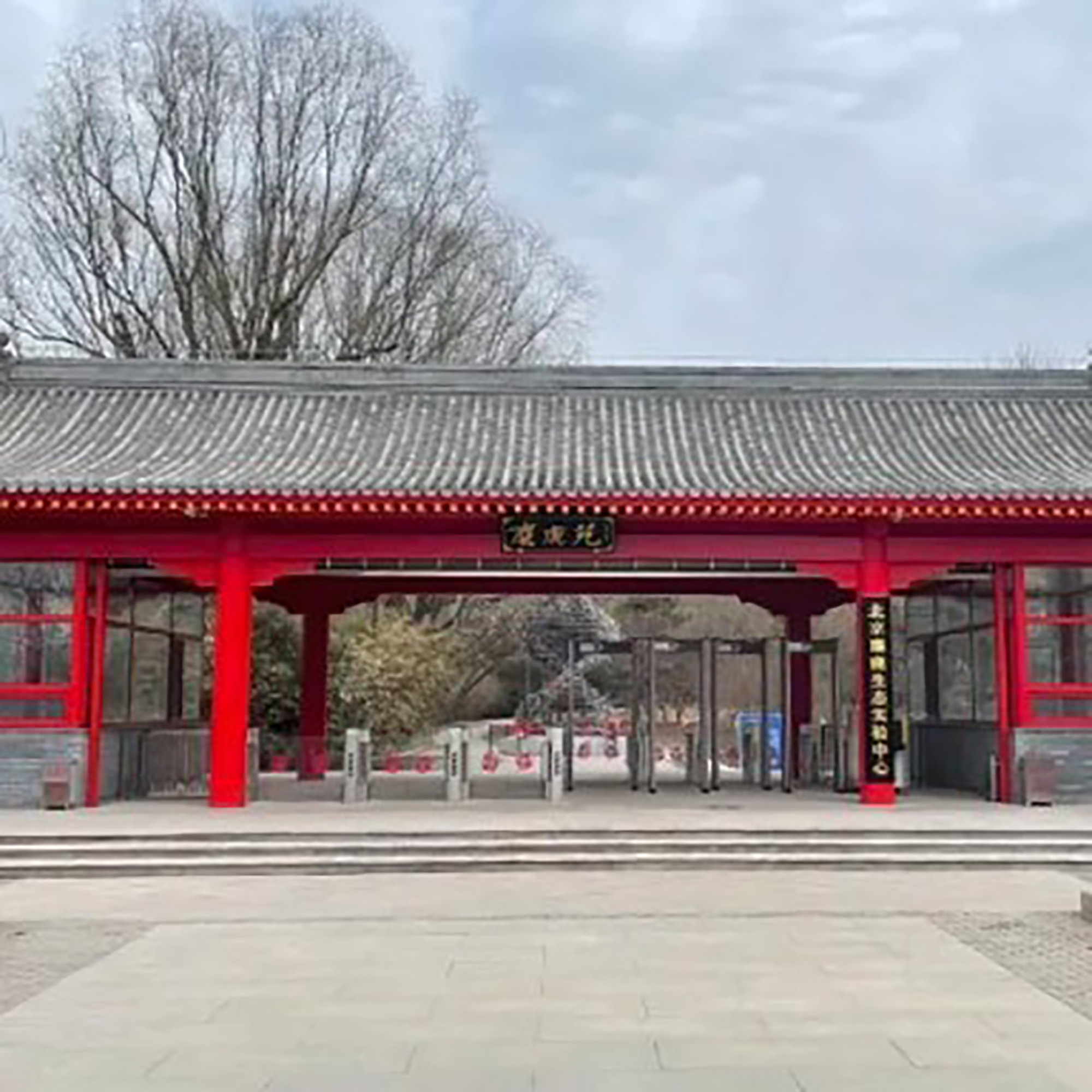 The Palace Museum