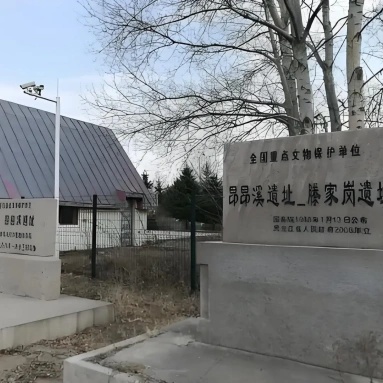 The Palace Museum