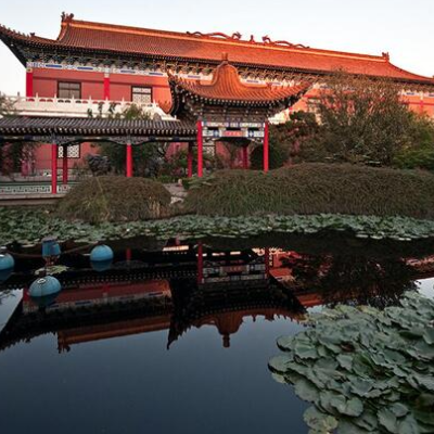 The Palace Museum