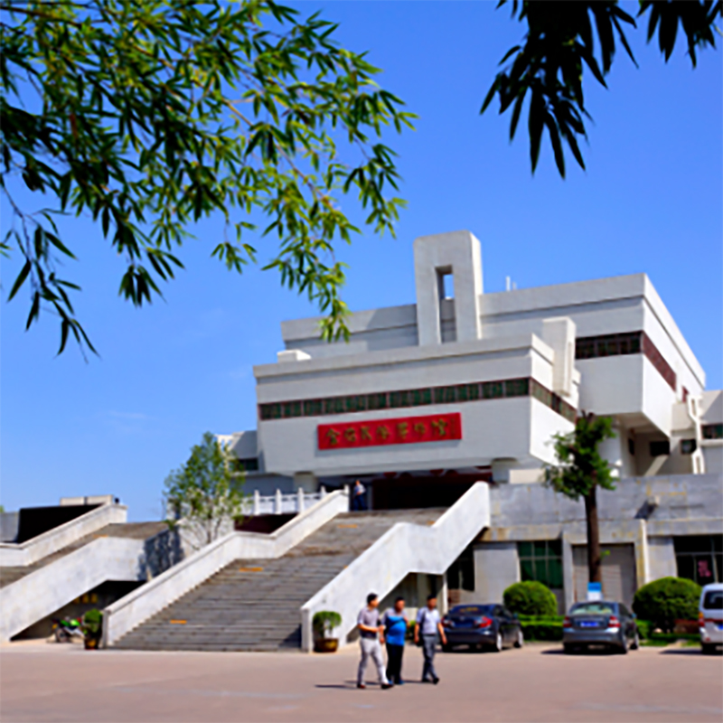 The Palace Museum