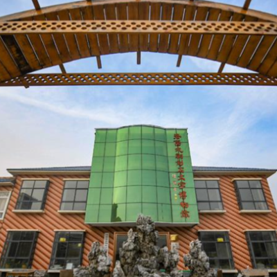 The Palace Museum