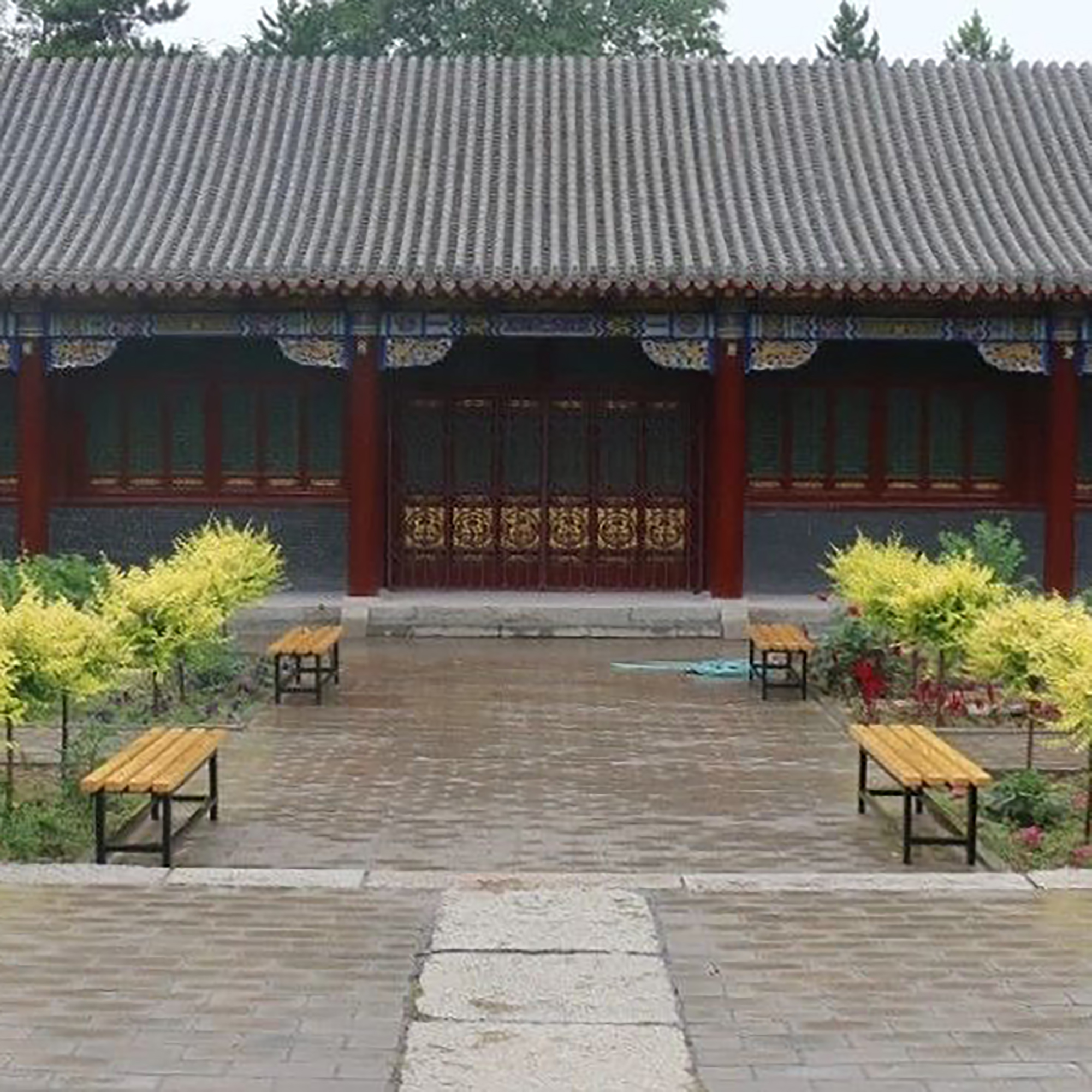 The Palace Museum