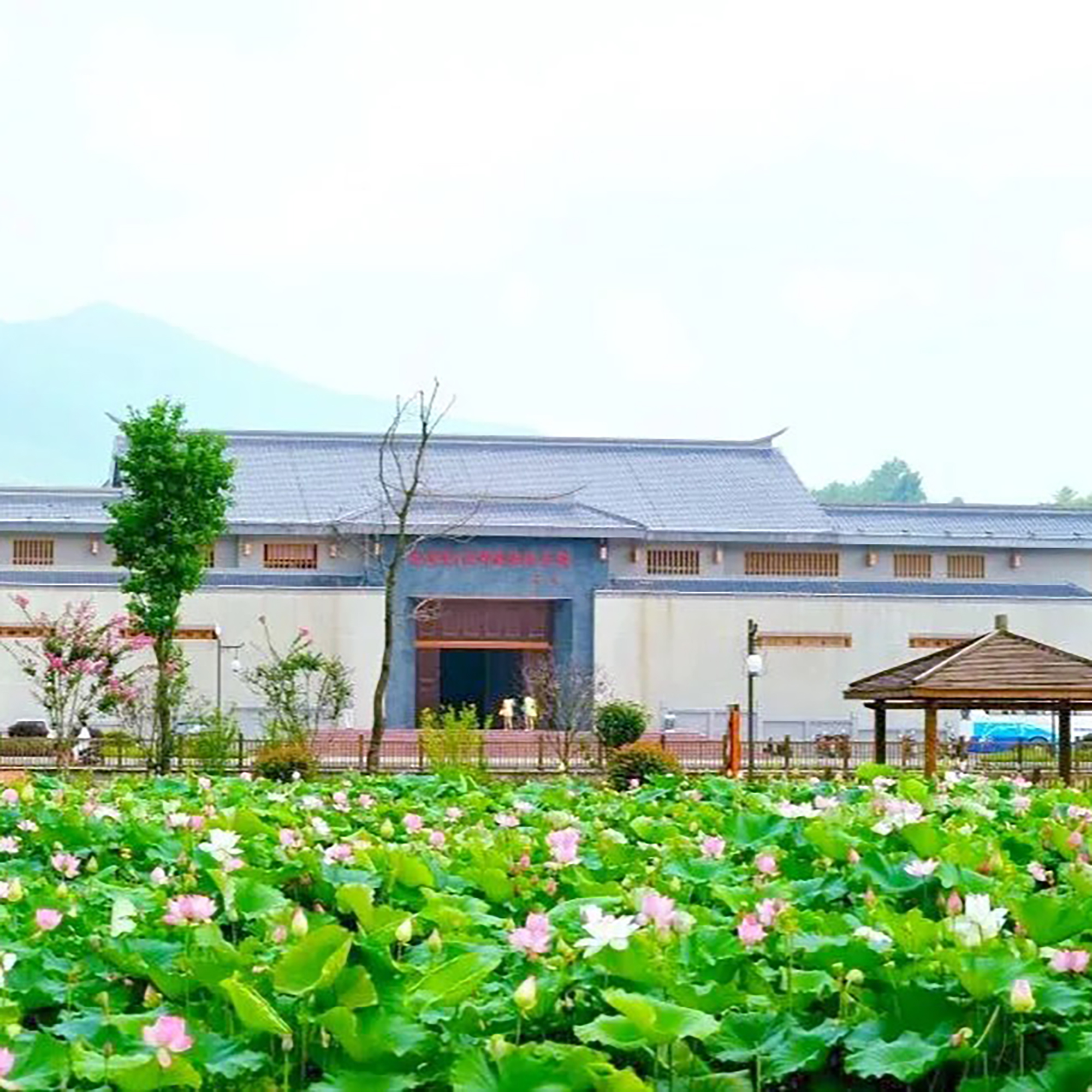 The Palace Museum