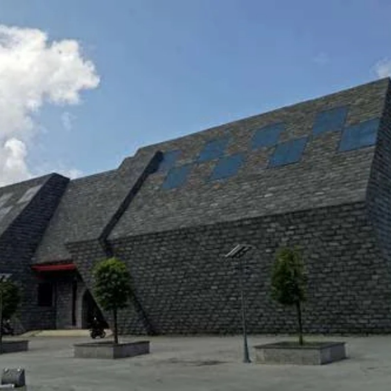 The Palace Museum