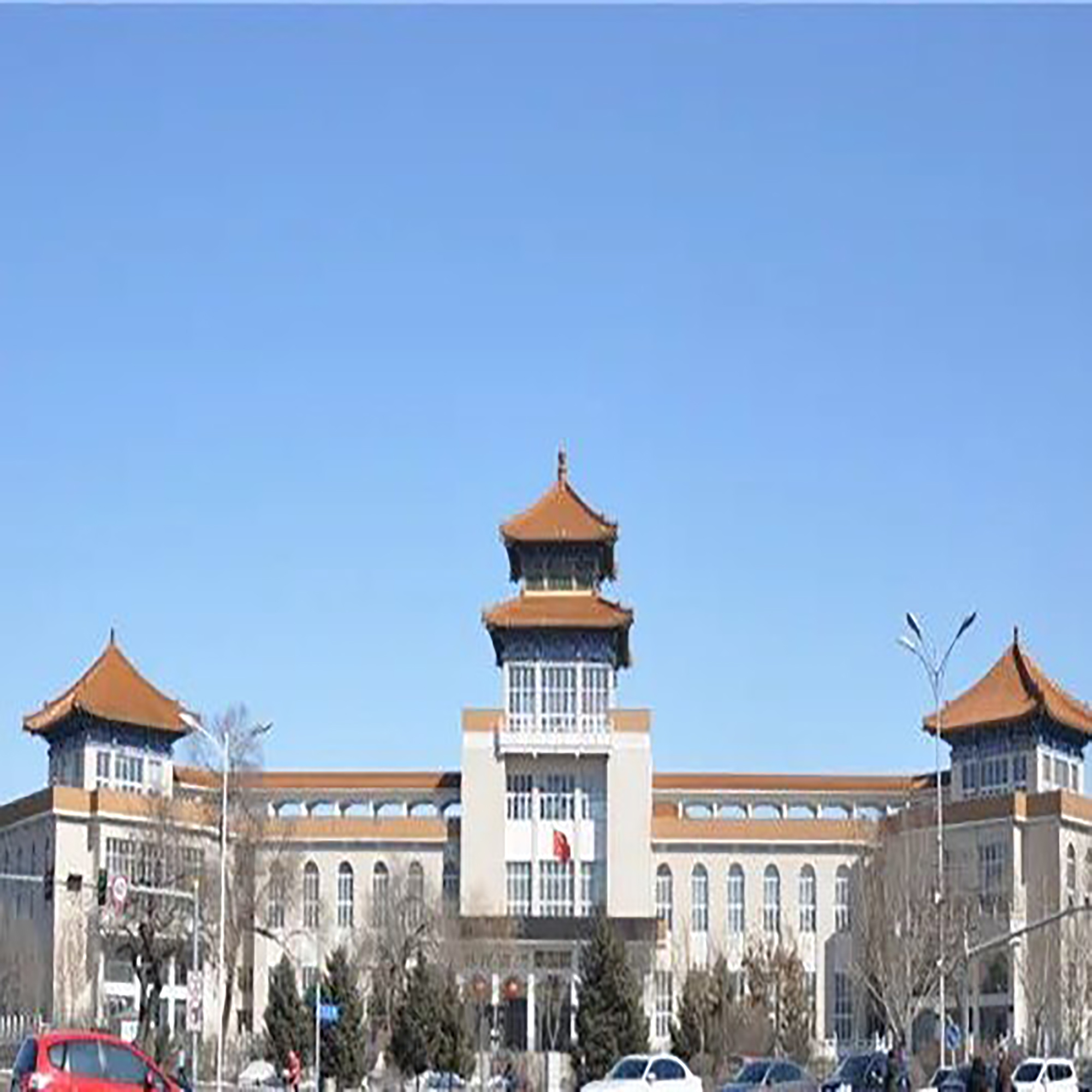 The Palace Museum