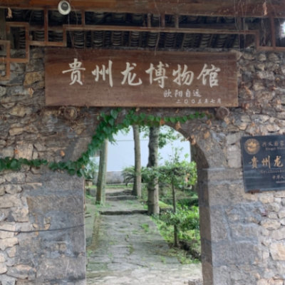 The Palace Museum