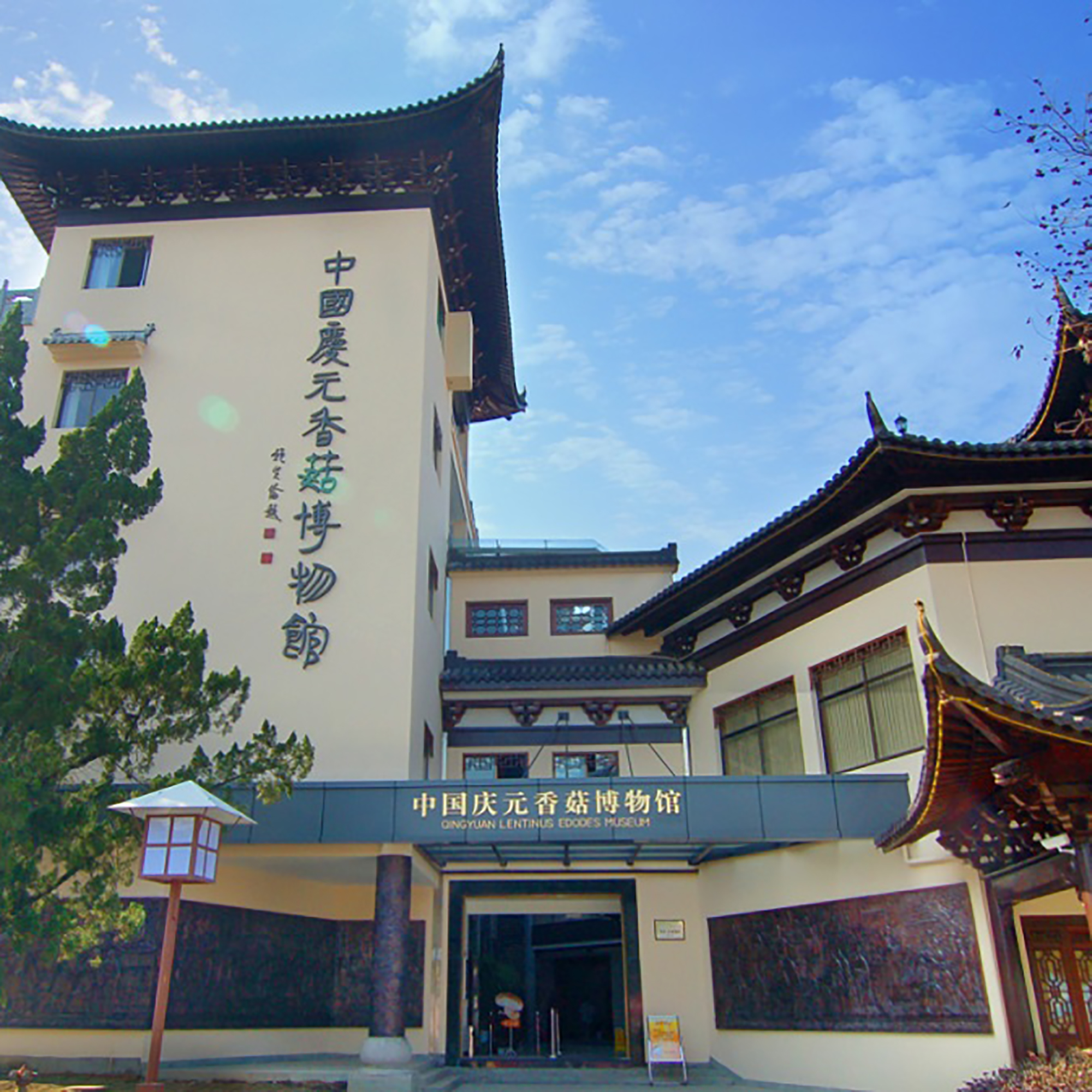 The Palace Museum