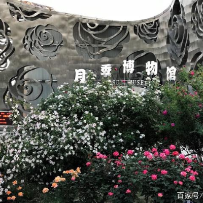The Palace Museum