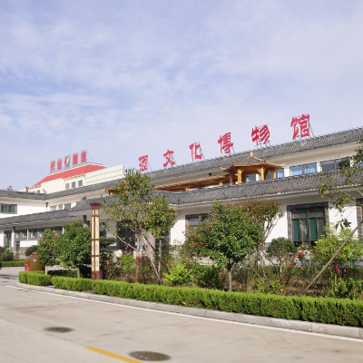 The Palace Museum