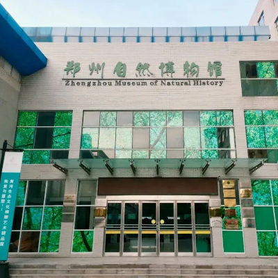 The Palace Museum