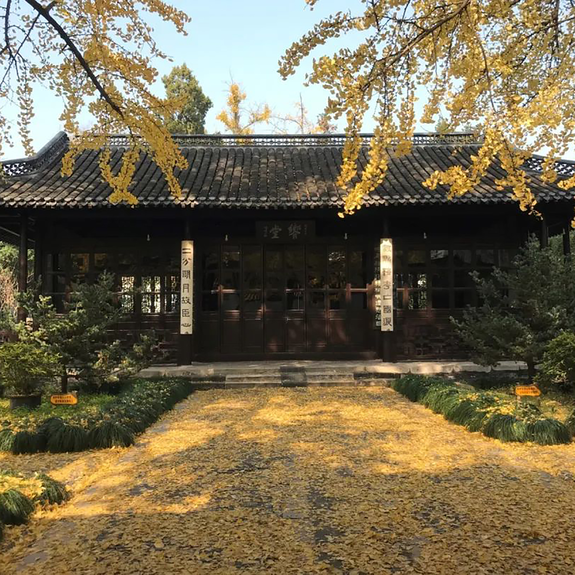 The Palace Museum