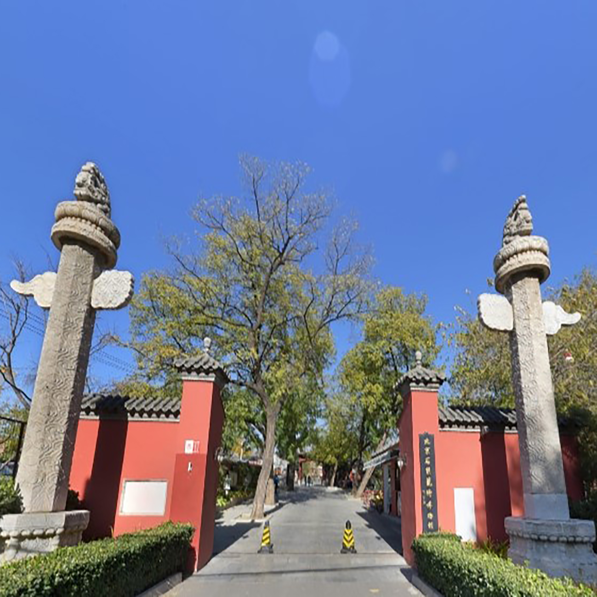 The Palace Museum