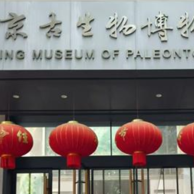 The Palace Museum