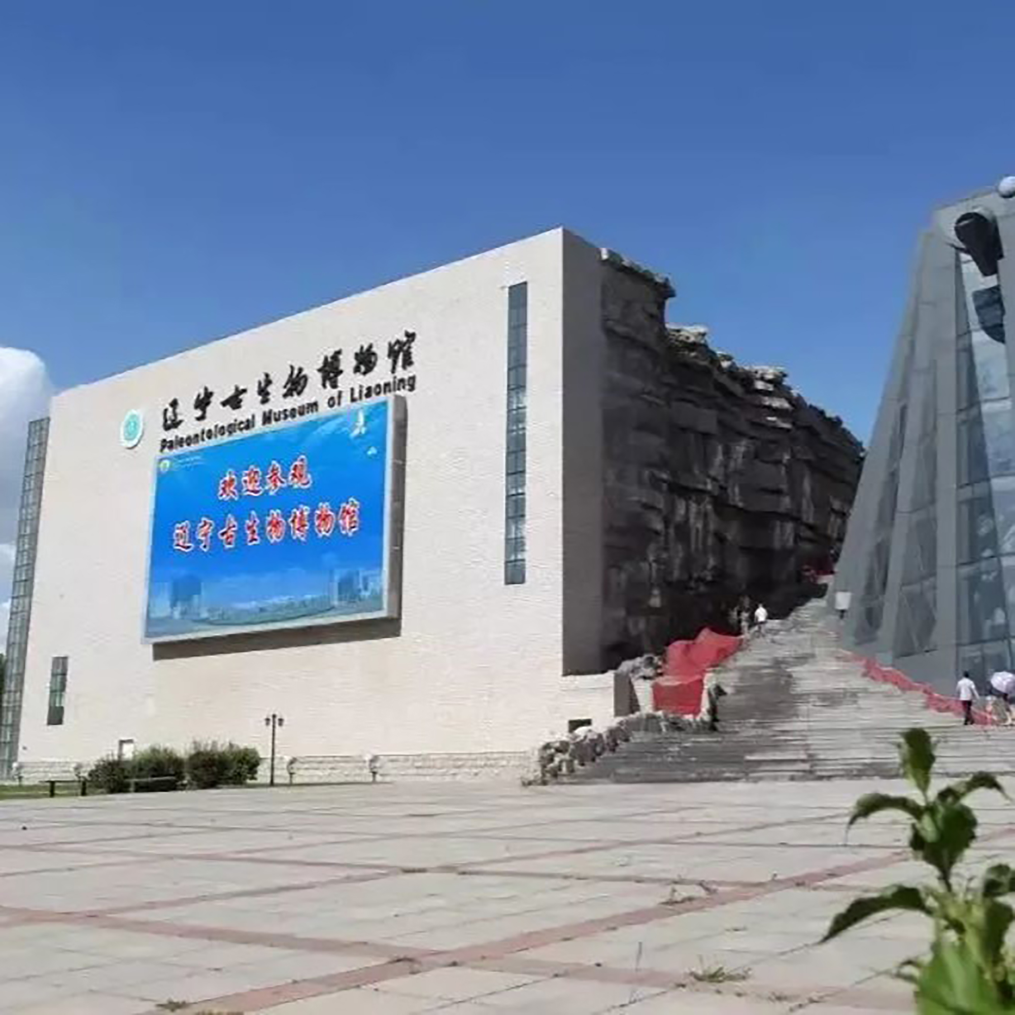The Palace Museum