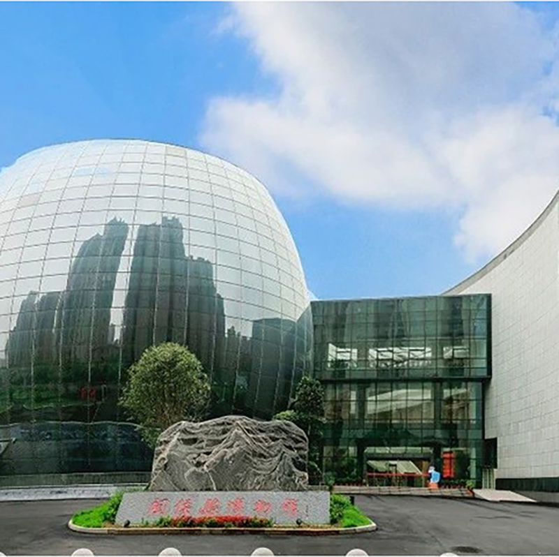The Palace Museum