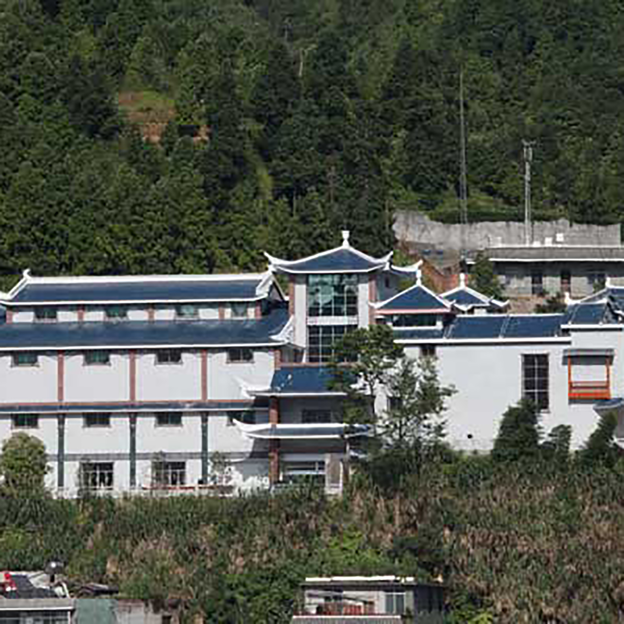 The Palace Museum