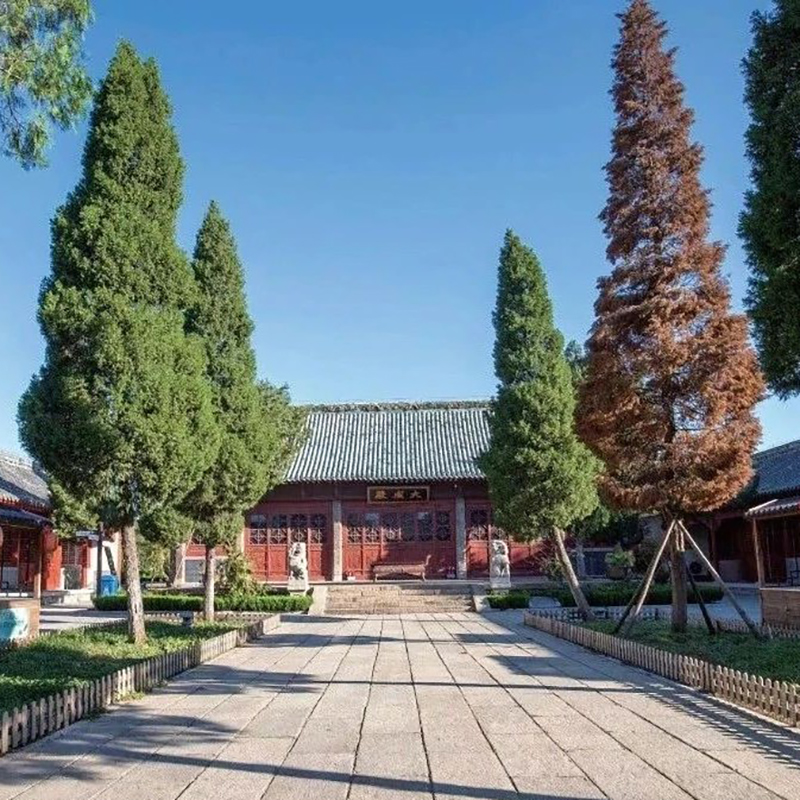 The Palace Museum