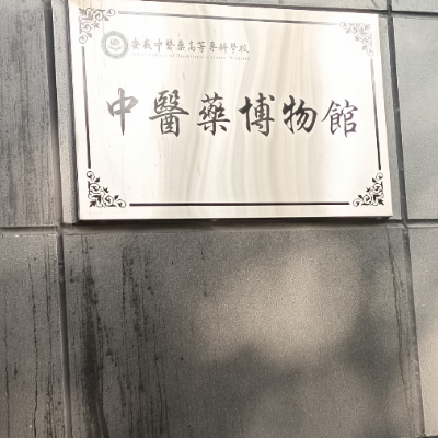 The Palace Museum
